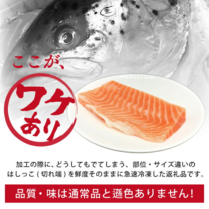 【ふるさと納税】【訳あり】アトランティックサーモン はしっこ 1kg（500g×2）