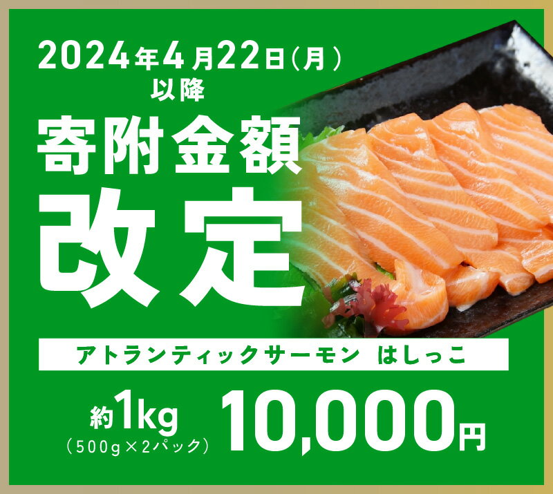 【ふるさと納税】訳あり アトランティックサーモン はしっこ 500g × 2 パック サーモン 合計 1kg 空飛ぶサーモン ジューシー 脂のり 深いコク 魚介 海鮮 魚 鮭 お取り寄せ お取り寄せグルメ 冷凍 大阪府 泉佐野市 送料無料