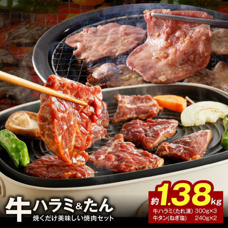 【ふるさと納税】【10月以降価格改定】大人気 ファミリー向け 焼肉セット 牛たん 牛ハラミ肉 合計1.4kgのサムネイル