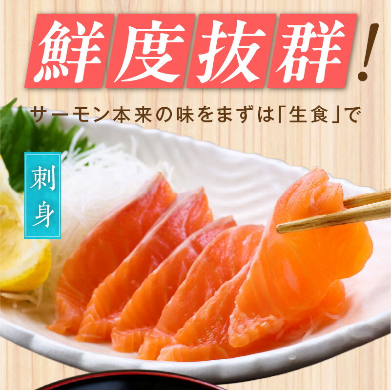 【ふるさと納税】【訳あり】 数量限定 お刺身用 サーモン 1kg / 2kg ブロック 小分け 約250g × 4P / 8P ポーション 柵 サイズ不揃い 鮭 トラウトサーモン 刺身 寿司 海鮮丼 生食 食品 魚介類 魚 冷凍 お取り寄せ 大阪府 泉佐野市 送料無料
