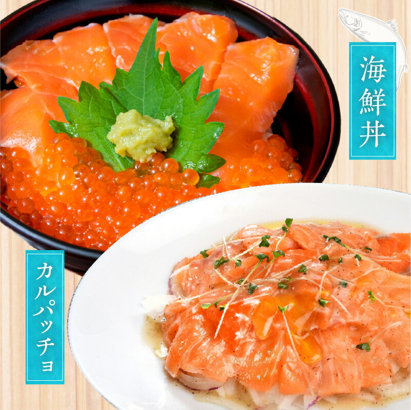 【ふるさと納税】【訳あり】 数量限定 お刺身用 サーモン 1kg / 2kg ブロック 小分け 約250g × 4P / 8P ポーション 柵 サイズ不揃い 鮭 トラウトサーモン 刺身 寿司 海鮮丼 生食 食品 魚介類 魚 冷凍 お取り寄せ 大阪府 泉佐野市 送料無料
