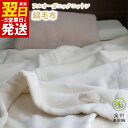 【ふるさと納税】\最短翌日〜5営業日以内発送/ オーガニックコットン綿毛布(シングルサイズ)※ 泉州南部織