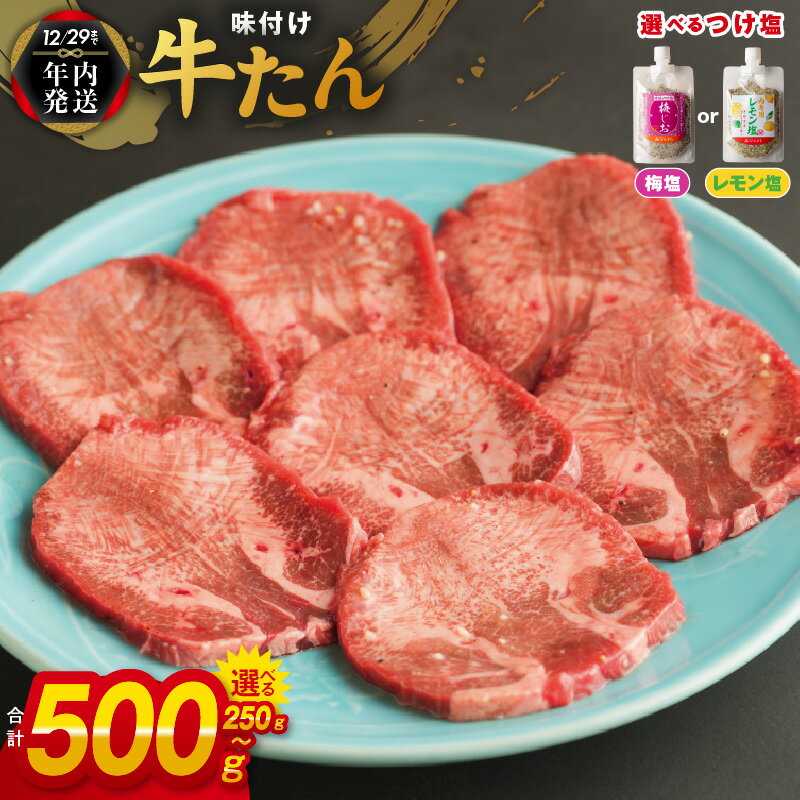 【ふるさと納税】【年内発送】 厚切り やわらか 味付け 牛たん 250g / 500g つけ塩 梅塩 / レモン塩 大判サイズ プロの味 小分け 便利 焼くだけ 簡単調理 おつまみ 晩酌 BBQ 焼肉 宅飲み お肉 肉 牛肉 真空パック 冷凍 大阪府 泉佐野市 送料無料 肉の泉佐野