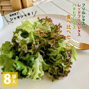 【ふるさと納税】【栽培期間中農薬不使用】フリルレタス / レッドフリルレタス / バタビアレタス 食べ比べセット(8袋入り) 新鮮レタス シャキシャキ食感 サラ...