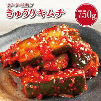 【ふるさと納税】リピーター続出!こだわりきゅうりキムチ 750g