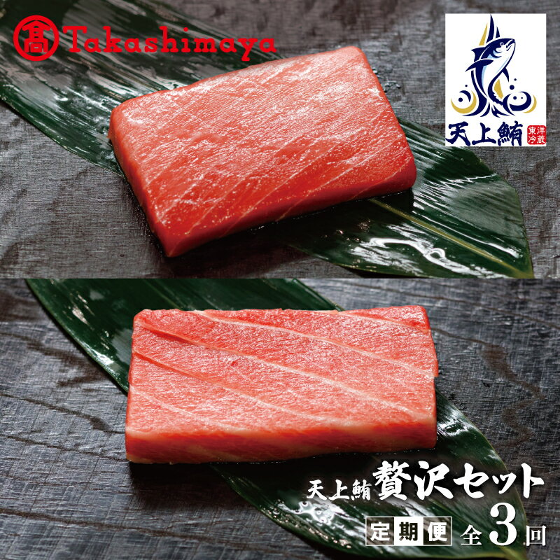 【ふるさと納税】【高島屋選定品】<東洋冷蔵> 天上鮪 贅沢セット 定期便 全3回【毎月配送コース】