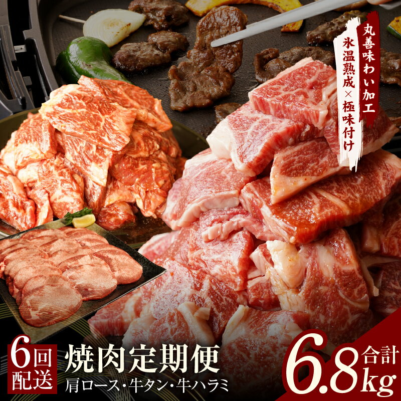 焼肉 定期便 総量6.8kg ( 肩ロース / 牛タン / 牛ハラミ ) 全6回 牛 肉 焼肉用 BBQ 極味付け肉 丸善味わい加工 毎月発送コース 黒毛和牛 泉佐野市 送料無料 氷温熟成牛 牛肉 熟成肉 氷温熟成 作り方 ふるさと納税オリジナル 限定 肉の泉佐野