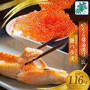 【ふるさと納税】いくら 醤油漬け 80g 2パック 訳あり 鮭ハラス 200g 5パック 小分け 鮭 ハラス 昆布塩加工 はしっこ サーモン 大トロ 腹ヒレ肉 ...