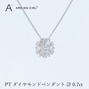 【ふるさと納税】アルカンシェル プラチナダイヤペンダント 計0.7ct プラチナダイヤ ペンダント 天然ダイヤモンド 輝き 華やか 個性を引き立てる ご褒美 ジ...