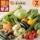 【ふるさと納税】\最短翌日〜5営業日以内発送/ 旬の野菜 セット 詰め合わせ 7種類 1箱 5kg以内 国産 新鮮 お試し おまかせ お楽しみ 泉州野菜 果物 ...
