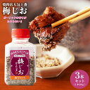 【ふるさと納税】焼き肉専門店の梅じおガーリック 90g × 3本 セット 梅 赤じそ 爽やかな風味 ガーリック 梅じお 調味料 つけ塩 焼肉 キャンプ アウトド...