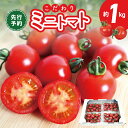 【ふるさと納税】こだわり ミニトマト 4パック 合計 約 1kg 新鮮 食べごろ 好評 まるでフルーツ 甘い 厳選 期間限定 数量限定 先行予約 野菜 トマト ...