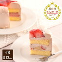 【ふるさと納税】生チョコデコレーション 冷凍ケーキ 4号 12cm × 1台 てんさい糖 スポンジ 生クリーム チョコクリーム いちご みかん 白桃 ケーキ チョコケーキ ホールケーキ スイーツ デザート おやつ 洋菓子 お取り寄せ 美味しい 冷凍 泉佐野市 送料無料