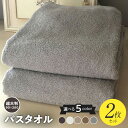 【ふるさと納税】選べるカラー 90×200 超大判 バスタオル 2枚 セット ダークブラウン / サミットホワイト / シュアラインベージュ / コカブラウン ...