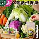 【ふるさと納税】旬の新鮮 野菜セット 15種以上 定期便 全3回 おまかせ ピクルスの素付き ファミリー向け 泉州野菜 旬の野菜 詰め合わせ おやつ おつまみ ...