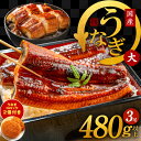 【ふるさと納税】先行予約 国産うなぎ 3尾 480g 以上 1尾160g以上 大サイズ うなぎコロッケ 2個付き 国産 泉佐野産 養殖 うなぎ 蒲焼 土用の丑の...