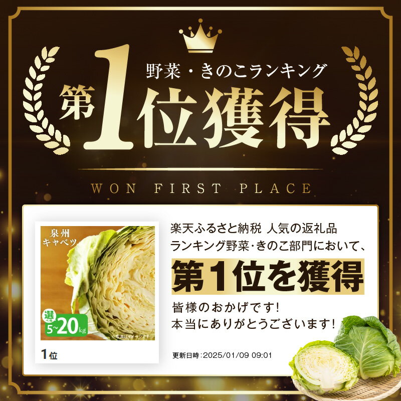 【ふるさと納税】【先行予約】 1位獲得 高評価★4.84 泉州キャベツ 5kg / 10kg / 20kg 射手矢農園 泉佐野市産 訳あり 芯まで甘い キャベツ 新鮮 常備菜 野菜 旬 時期 収穫 サラダ お好み焼き 焼肉 ロールキャベツ 野菜炒め 泉佐野市 送料無料