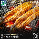 【ふるさと納税】ビッグサイズ 数量限定 老舗 五郎藤 関西風地焼き 国産 有頭旨鰻 250g×1尾 / 250g×2尾 特大 うなぎ 蒲焼き 炭火 たれ 粉山椒...