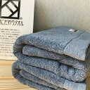 【ふるさと納税】コットンWバスタオル2枚(ブルー)【泉州こだわりタオル】 ※ 厚手 パイル 上質 吸水力 単色 新生活 新生活応援