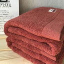 【ふるさと納税】コットンWバスタオル2枚(レッドブラウン)【泉州こだわりタオル】 ※ 厚手 パイル レッド 上質 吸水力 単色