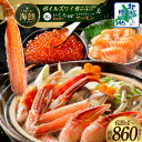 【ふるさと納税】昆布塩加工 ボイルズワイ蟹 ビードロカット 400g 前後 約 2人前 人気 食べ比べ セット アトランティックサーモン サーモン サケ いくら 北国からの贈り物 ボイル ズワイガニ 蟹 濃厚 甘み 旨み 鍋 魚介類 海の幸 冷凍 年内発送 泉佐野市 お取り寄せ 送料無料