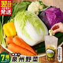 【ふるさと納税】\最短翌日〜5営業日以内発送/ 季節の泉州野菜 7種以上 おまかせ セット ピクルスの素 1袋付き 新鮮 旬の野菜 野菜 詰め合わせ 忙しい方向...