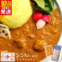 【ふるさと納税】\最短翌日〜5営業日以内発送/ 15種スパイスを使用した SONカフェ 特製カレー セット いずみピクルス NSW 選べる オリジナルカレー 玉...