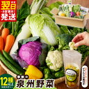【ふるさと納税】\最短翌日〜5営業日以内発送/ 季節の泉州野菜 12種以上 おまかせセット ピクルスの素 2袋付き いずみピクルス NSW