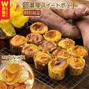 【ふるさと納税】【期間限定】 芋匠さのや特製 濃厚スイートポテト+さのやチップス(プレーン味)付き 大阪府 泉佐野市 送料無料 さのやCP