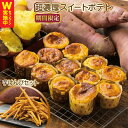 【ふるさと納税】【期間限定】 芋匠さのや特製 濃厚スイートポテト+芋けんぴ 付き 大阪府 泉佐野市 送料無料 さのやCP