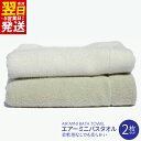 【ふるさと納税】\最短翌日〜5営業日以内発送/ エアーミニバスタオル2枚セット ※ 中厚 パイル 組 無地 柔らかい 吸水力 上質 ギフトにも対応可 新生活 新...