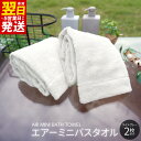 【ふるさと納税】\最短翌日〜5営業日以内発送/ エアーミニバスタオル 2枚(ライトグレー)※ 単色 新生活 新生活応援