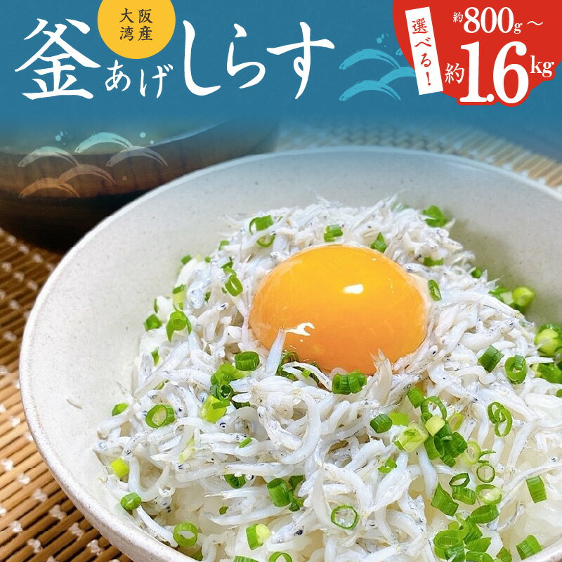 【ふるさと納税】＼訳あり／ しらす 700g 釜揚げしらす 釜揚げ 家庭用 簡易包装 シラス丼 無添加 天然 カルシウム おつまみ 酒の肴 ごはんのお供 お取り寄せ お取り寄せグルメ 家飲み 冷凍 大阪府 泉佐野市 送料無料のサムネイル