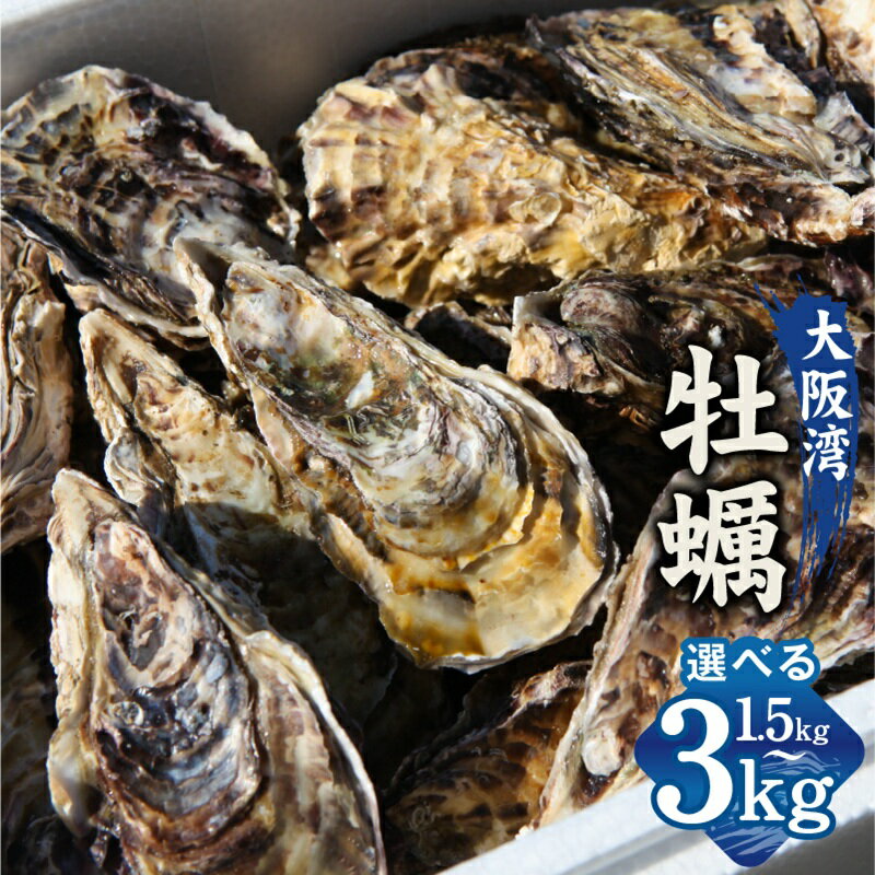 [先行予約] 大阪湾牡蠣 1.5kg / 3kg 牡蠣 殻付き牡蠣 殻付き 加熱用 大阪湾 養殖 急速冷凍 鮮度抜群 身づまりが良い 蒸し牡蠣 カキフライ 牡蠣ご飯 お取り寄せ お取り寄せグルメ プリプリ ジューシー 食品 魚介類 海鮮 冷凍 大阪府 泉佐野市 送料無料