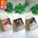 【ふるさと納税】泉州タオル ロールケーキ風 ハンドタオル 2枚セット 34cm×36cm 綿100パーセント フルーツマグネット付き インテリア雑貨 ギフト プ...