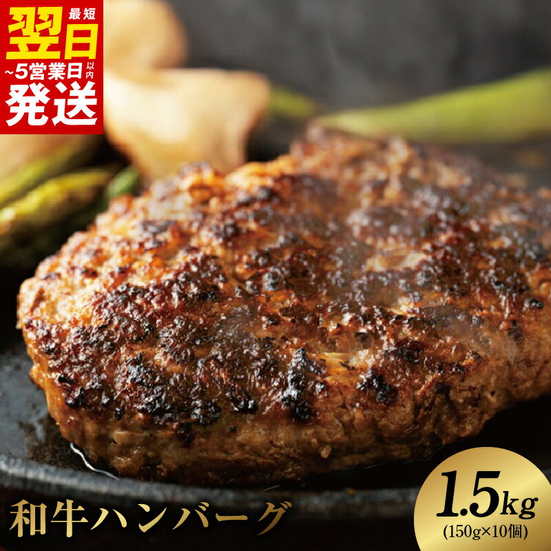 【ふるさと納税】【9月30日受付終了】熟成国産牛100% ハンバーグ 1.5kg（150g×10個）のサムネイル