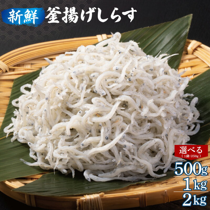 新鮮 釜揚げしらす 合計 500g / 1kg / 2kg 小分け 各 250g 保存料 不使用 しらす 新鮮なしらす 急速冷凍 シラス本来の旨味 お取り寄せ お取り寄せグルメ しらす丼 サラダ パスタ 栄養 大阪府 泉佐野市 送料無料