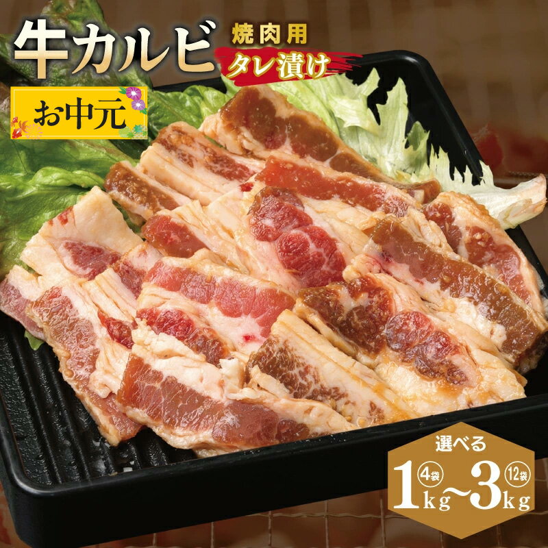 牛カルビ 焼肉用 タレ漬け 合計 1kg / 1.5kg / 2kg / 2.5kg / 3kg 味付け 小分け 焼くだけ 簡単調理 BBQ 牛肉 肉 焼肉 生姜醤油 特製タレ 便利 晩酌 おつまみ お取り寄せ お取り寄せグルメ 大阪府 泉佐野市 送料無料 肉の泉佐野