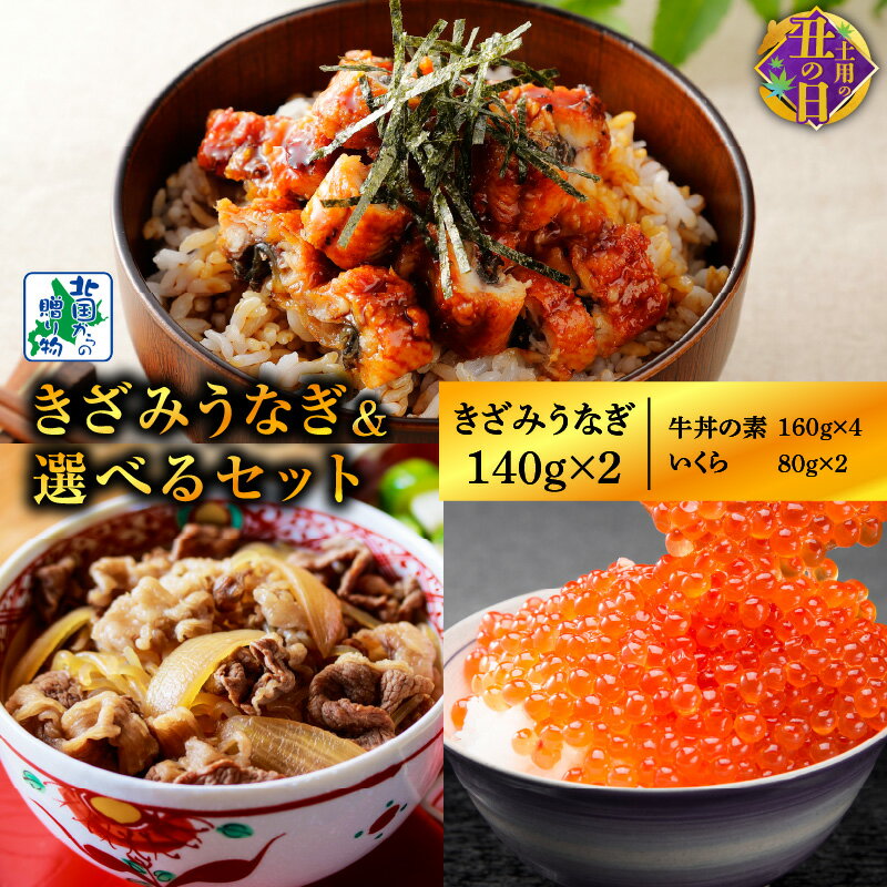 [数量限定][訳あり][土用の丑の日までにお届け] 五郎藤 国産きざみ鰻 140g 2パック 選べるセット いくら醤油漬け / 黒毛和牛で作った牛丼の素 食べ比べ うなぎ いくら 牛丼 ご飯のお供 冷凍 お取り寄せ 大阪府 泉佐野市 送料無料 先行予約