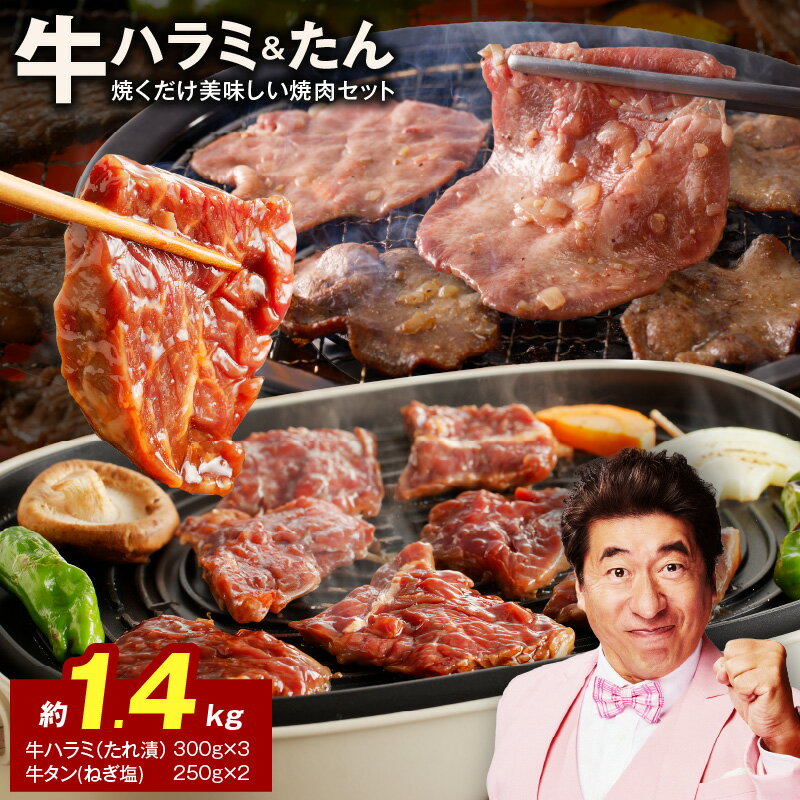 大人気 ファミリー向け 焼肉セット 牛たん 牛ハラミ肉 総量1.4kg 大阪府 泉佐野市 送料無料 肉の泉佐野