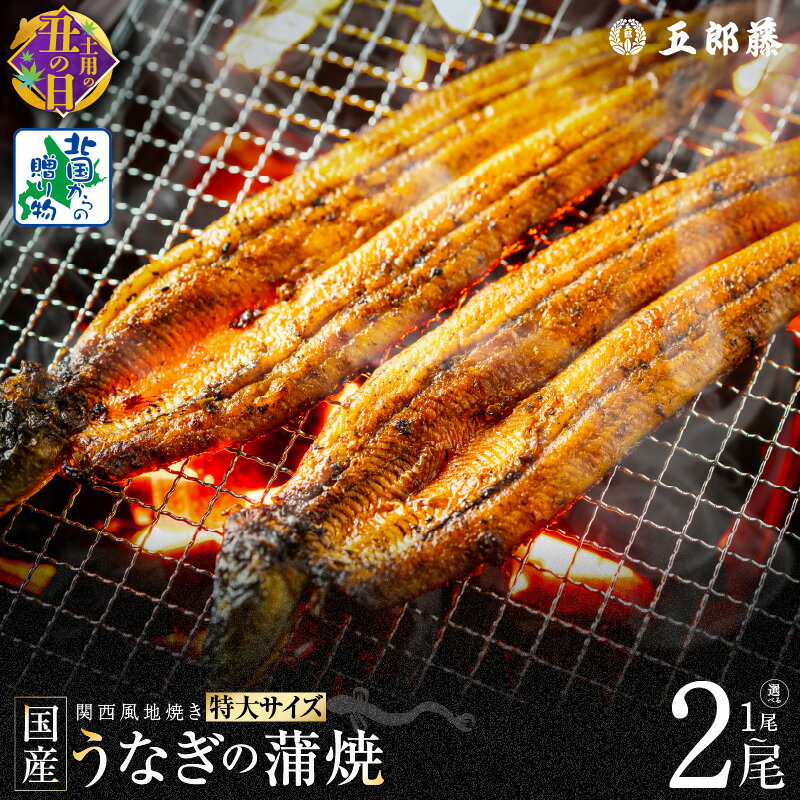 [土用の丑の日までにお届け] ビッグサイズ 数量限定 老舗 五郎藤 関西風地焼き 国産 有頭旨鰻 250g×1尾 / 250g×2尾 特大 うなぎ 蒲焼き 炭火 たれ 粉山椒 付き ウナギの蒲焼 魚介類 惣菜 うな丼 ひつまぶし 冷凍 お取り寄せ 泉佐野市 送料無料 先行予約