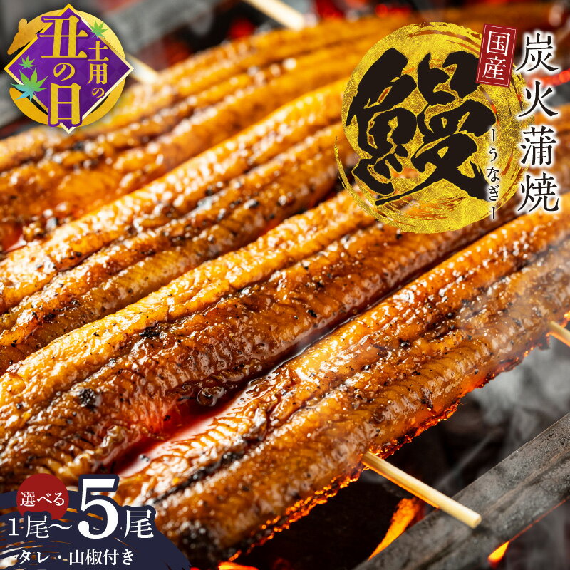 [土用の丑の日までにお届け] 国産 うなぎ 150g×2尾 / 150g×5尾 / 180g×1尾 タレ 山椒 付き 蒲焼き 有頭 数量限定 うなぎ専門店 大門 自慢の逸品 炭火 真空パック うな重 うな丼 ひつまぶし 惣菜 魚介類 魚 冷凍 大阪府 泉佐野市 送料無料 先行予約