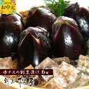 【ふるさと納税】泉佐野老舗料亭 割烹料理人が漬ける 水茄子の浅漬け6個セット 大阪府 泉佐野市 送料無料