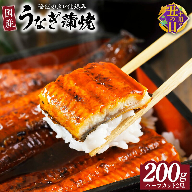 [土用の丑の日までにお届け] 国産うなぎ ハーフカット 合計 200g 秘伝のたれ 蒲焼 訳あり 鰻 ウナギ 無頭 炭火焼き 備長炭 手焼き 先行予約