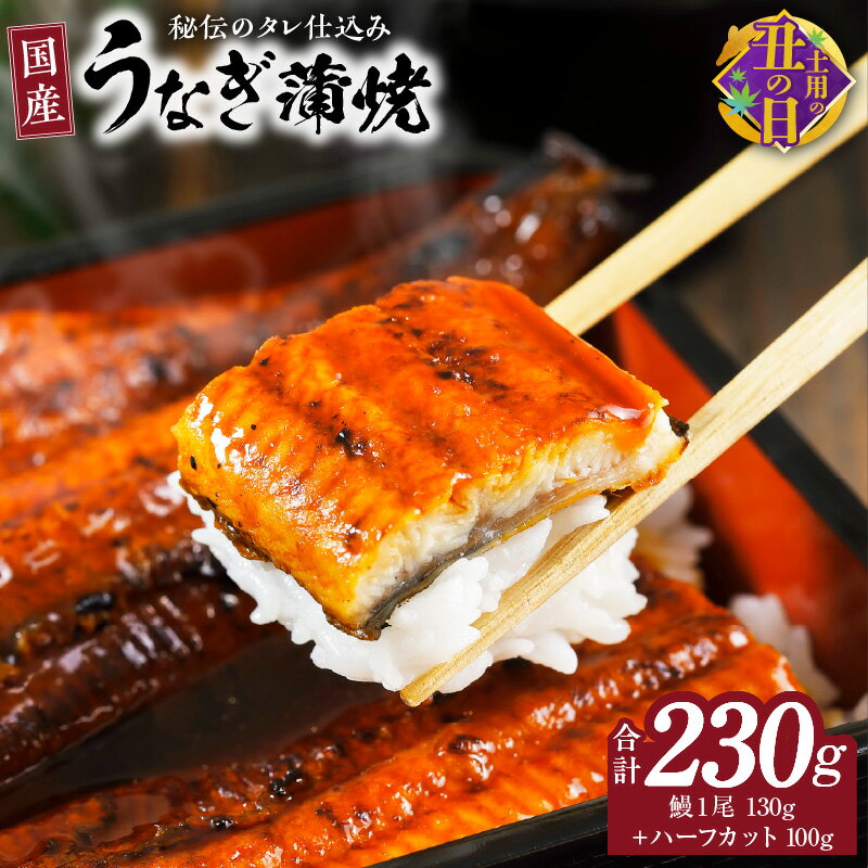 [土用の丑の日までにお届け] 国産うなぎ お試し 230g(鰻1尾 130g+ ハーフカット 100g)訳あり お試し ウナギ 無頭 炭火焼き 備長炭 手焼き 先行予約