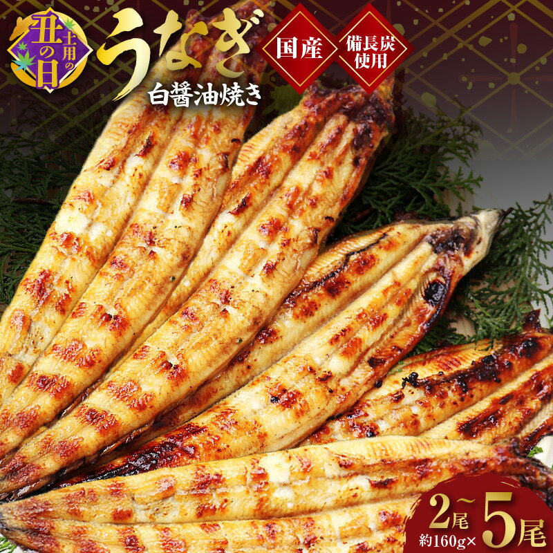 【ふるさと納税】【土用の丑の日までにお届け】 国産！ うなぎ白醤油焼き せいろ蒸...