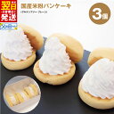 【ふるさと納税】\最短翌日~5営業日以内発送/ パンケーキ 3個入 ( グルテンフリー プレーン ) パンケーキカフェ cafeblow 国産米粉パンケーキ 米...