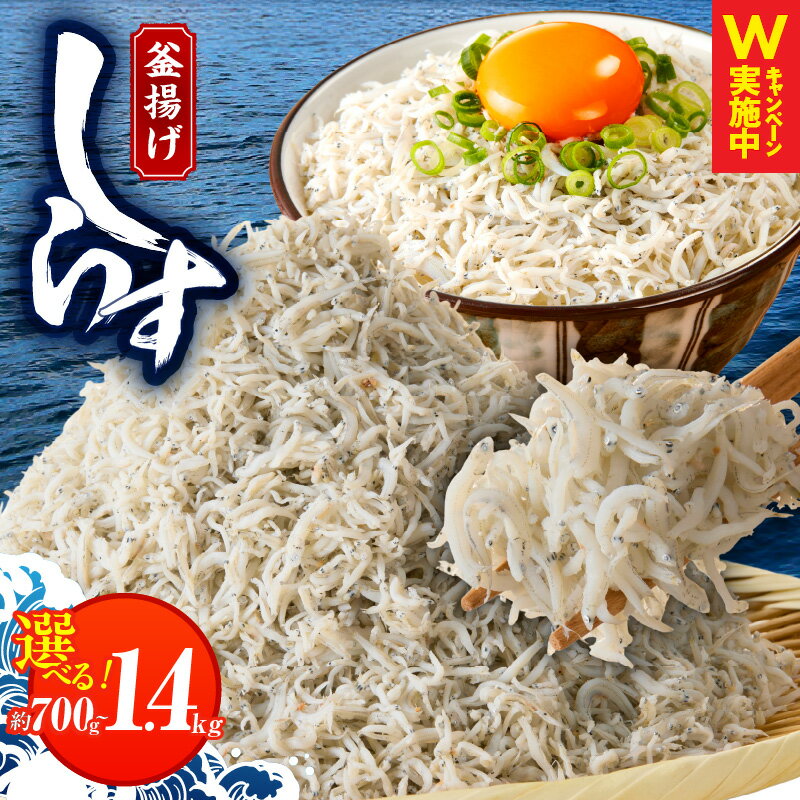 【ふるさと納税】＼訳あり／ しら
