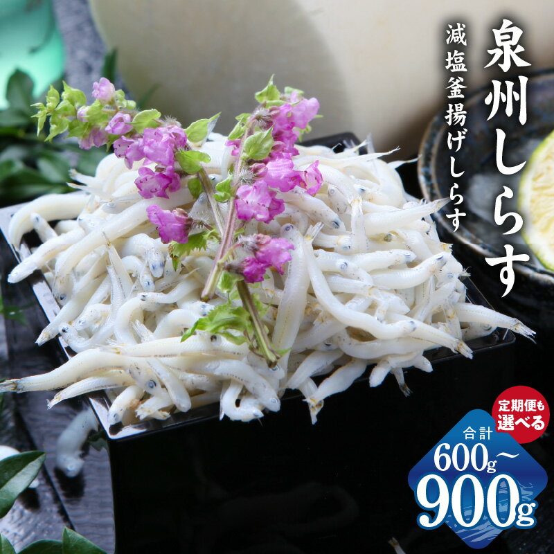 減塩釜揚げしらす 泉州しらす 600g / 900g 定期便 全6回 釜揚げ シラス 減塩 急速冷凍 しらすの風味 しらす丼 ごはんのお供 おつまみ 酒の肴 食品 お取り寄せ お取り寄せグルメ 大阪府 泉佐野市 送料無料