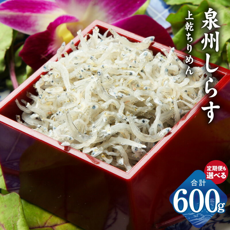 上乾ちりめんしらす 泉州しらす 100g×6P 600g 定期便 全6回 ちりめん しらす 急速冷凍 ちりめんじゃこ ごはんのお供 おつまみ 酒の肴 食品 お取り寄せ お取り寄せグルメ 大阪府 泉佐野市 送料無料